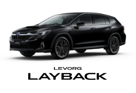 LAYBACK