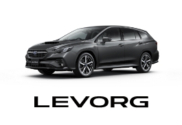 LEVORG LAYBACK