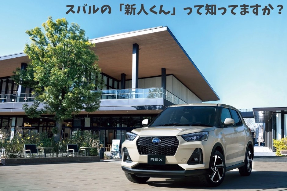 新社会人のみなさん、お車はお決まりですか？