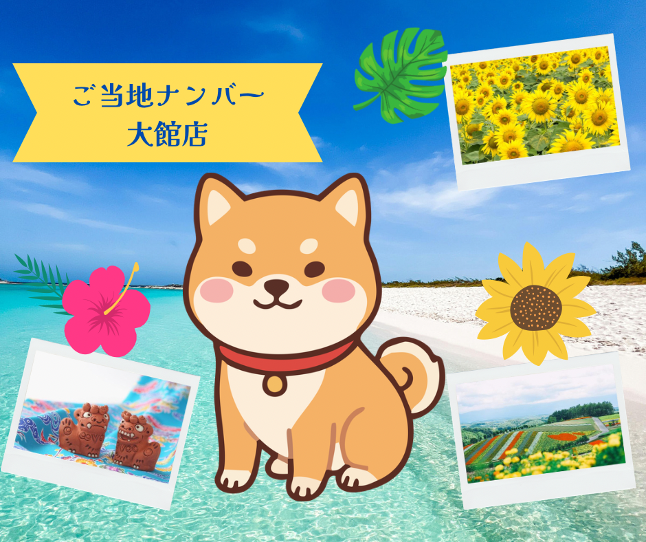 秋田犬といっしょに走ろう！☆大館店☆