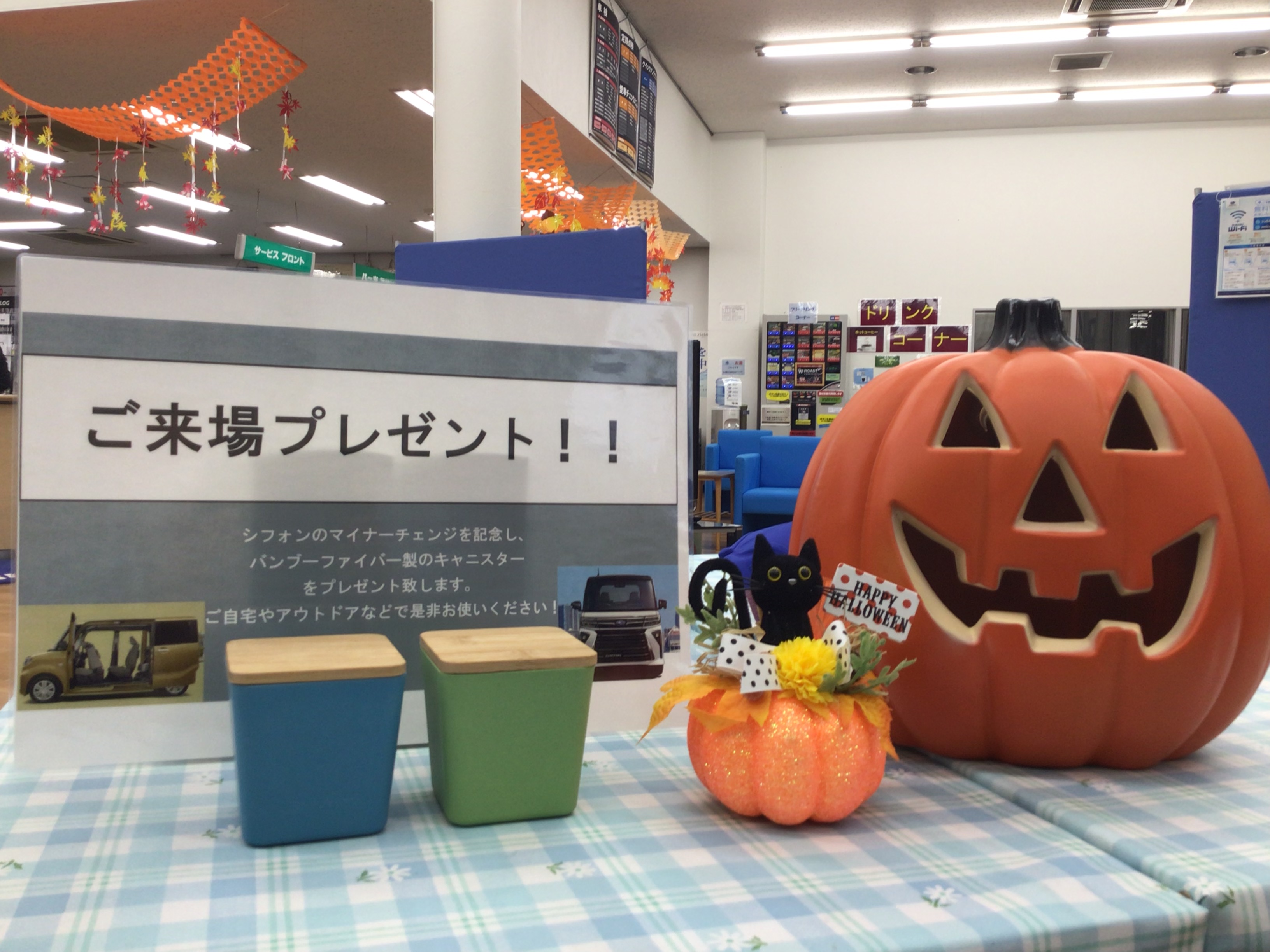 【シフォンデビューフェア】　開催中！！