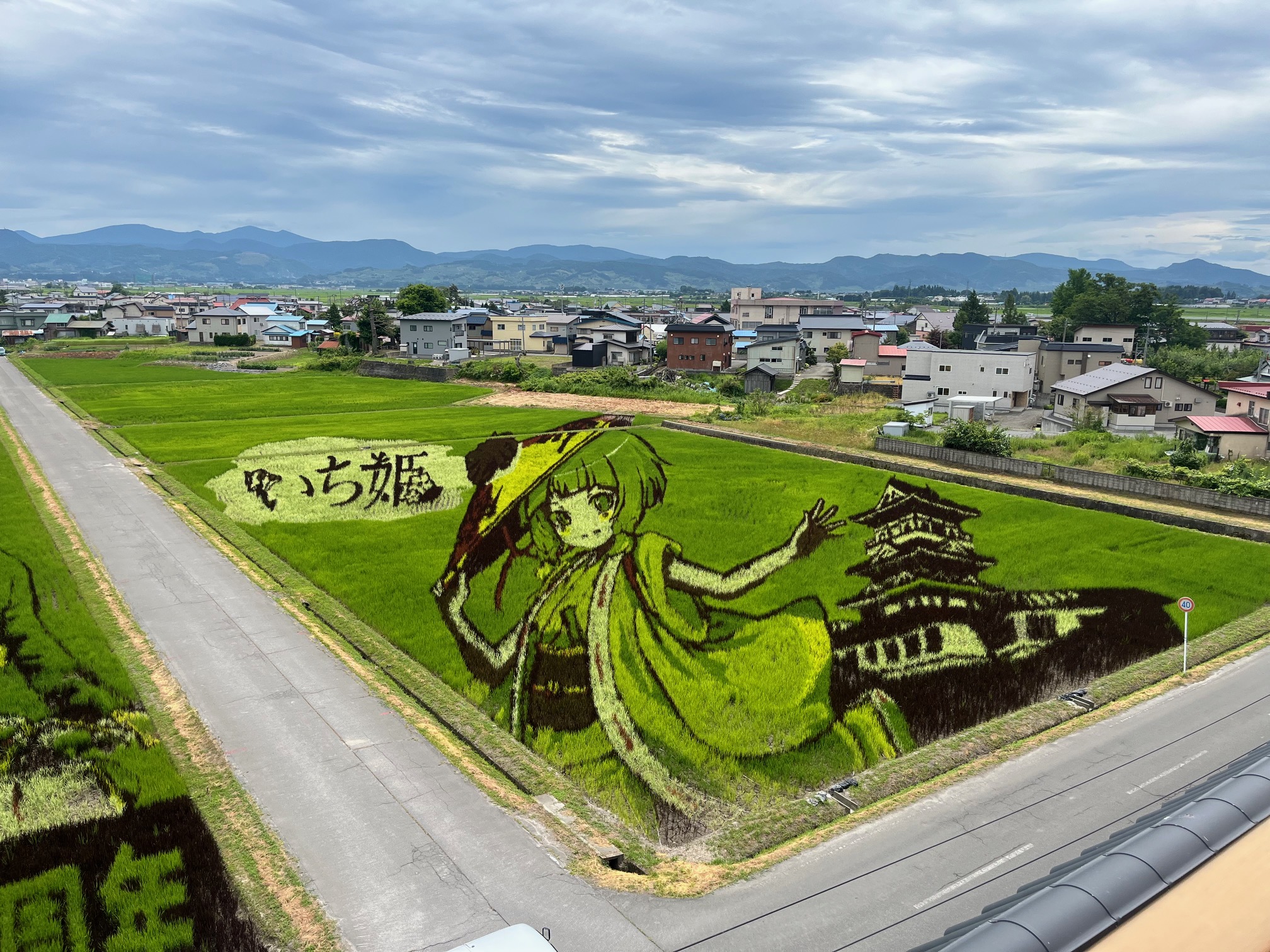 なつ～