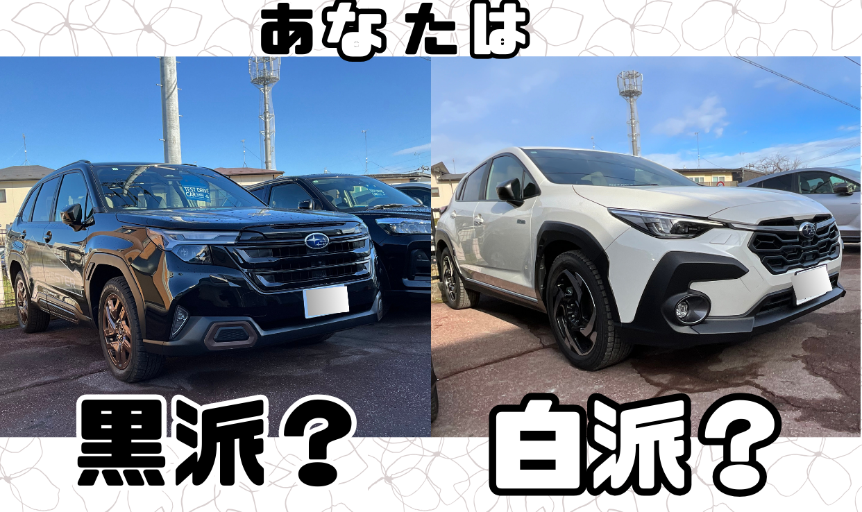 ２択！選ぶならどっち？？