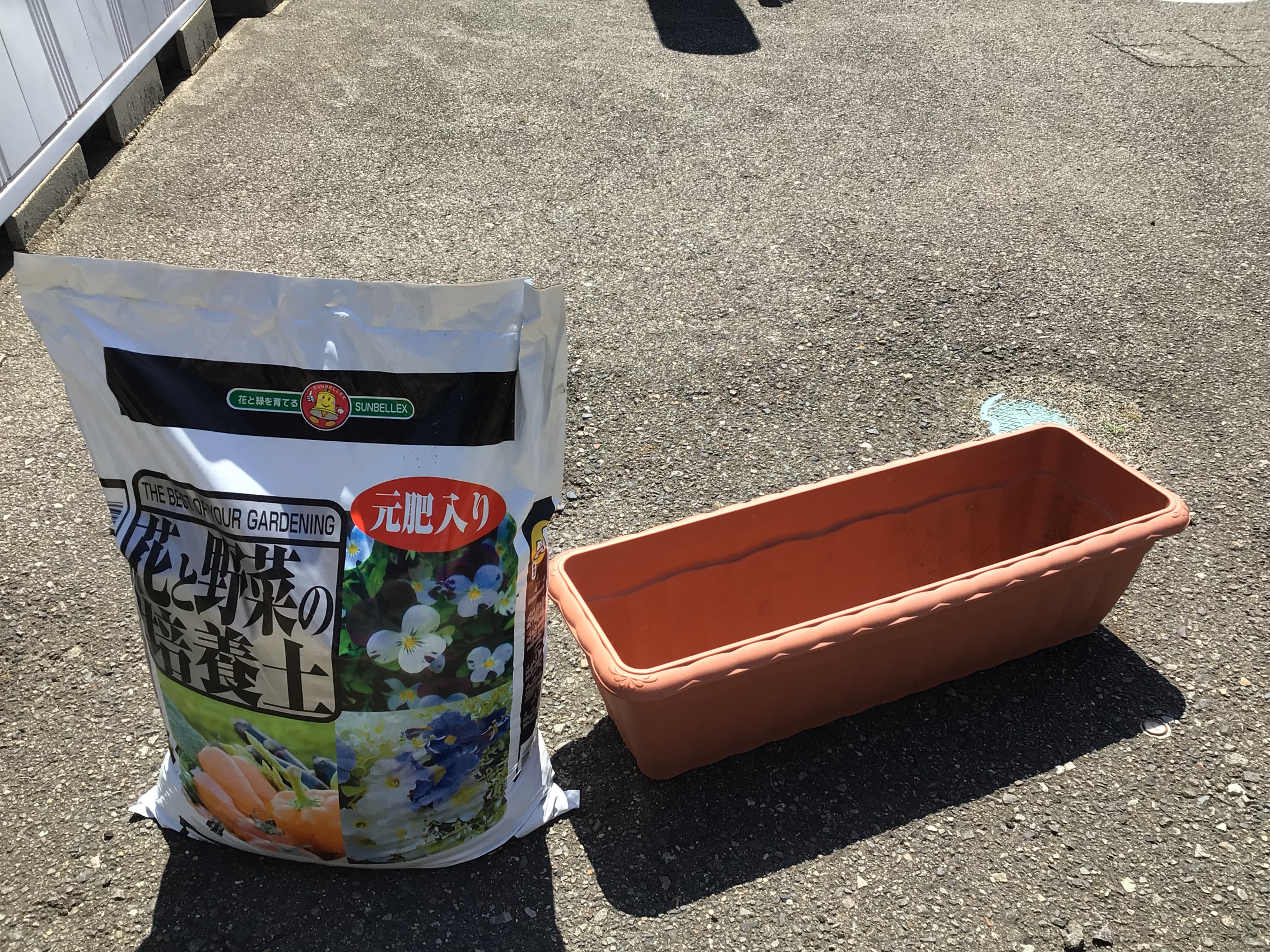☆カースポット郡山　ひまわり里親プロジェクト☆