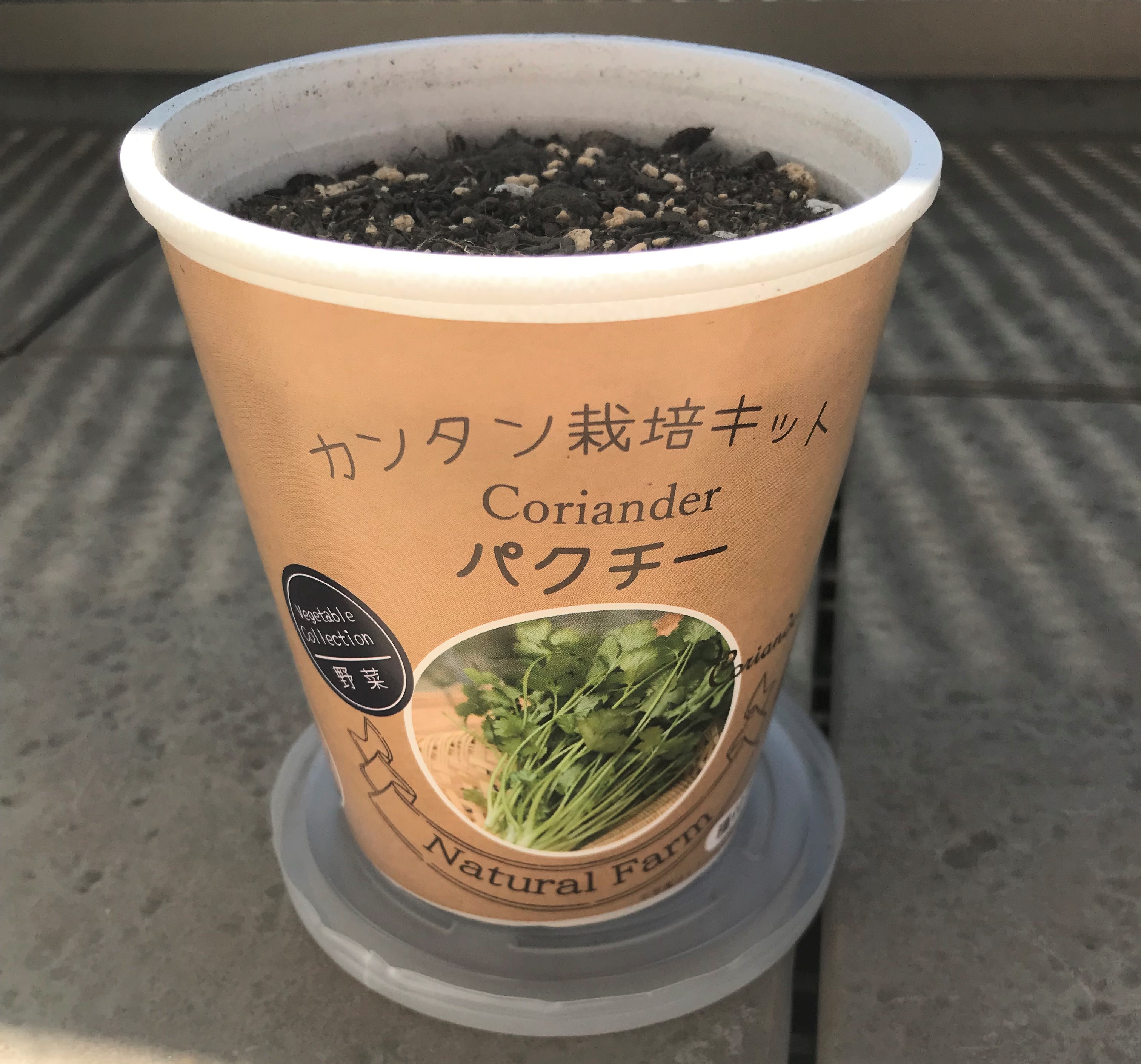 ☆カースポット郡山　育て始めました☆