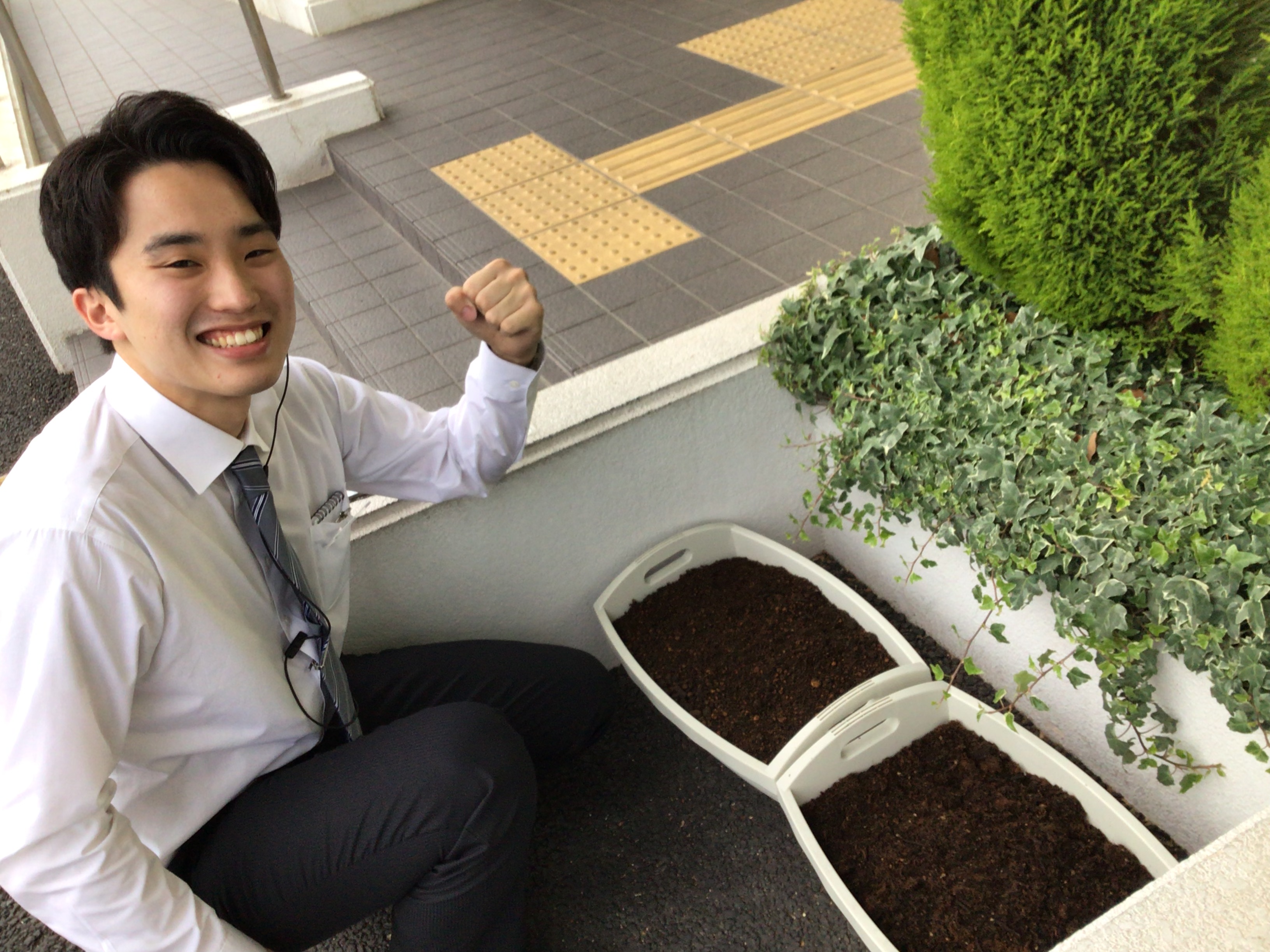☆いわき店Blog☆福島ひまわり里親プロジェクト~ひまわり育成日記①~