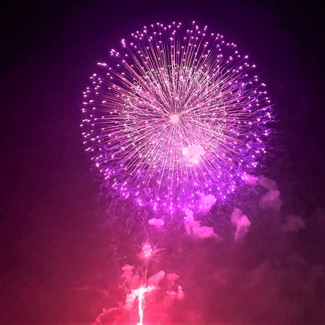 🎇福島花火大会２０２３と今年のひまわり🌻