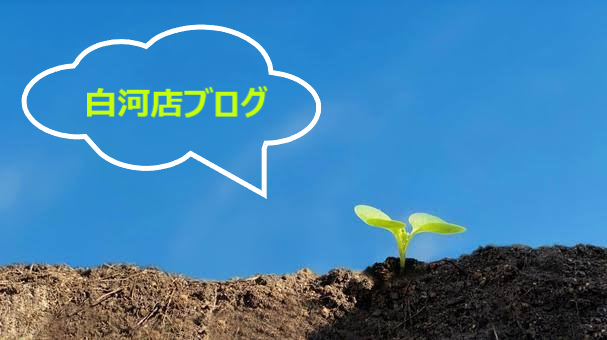 *白河店*いざ種まき!