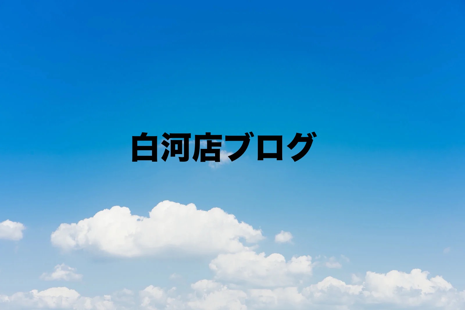*白河店*芽がでてきました!