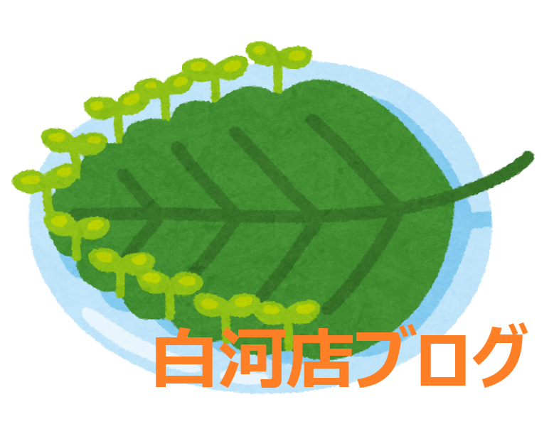 *白河店*マザーリーフ育てます!vol.3