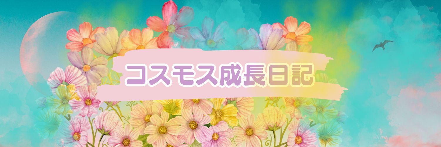 ＊郡山店＊コスモス成長日記 ③