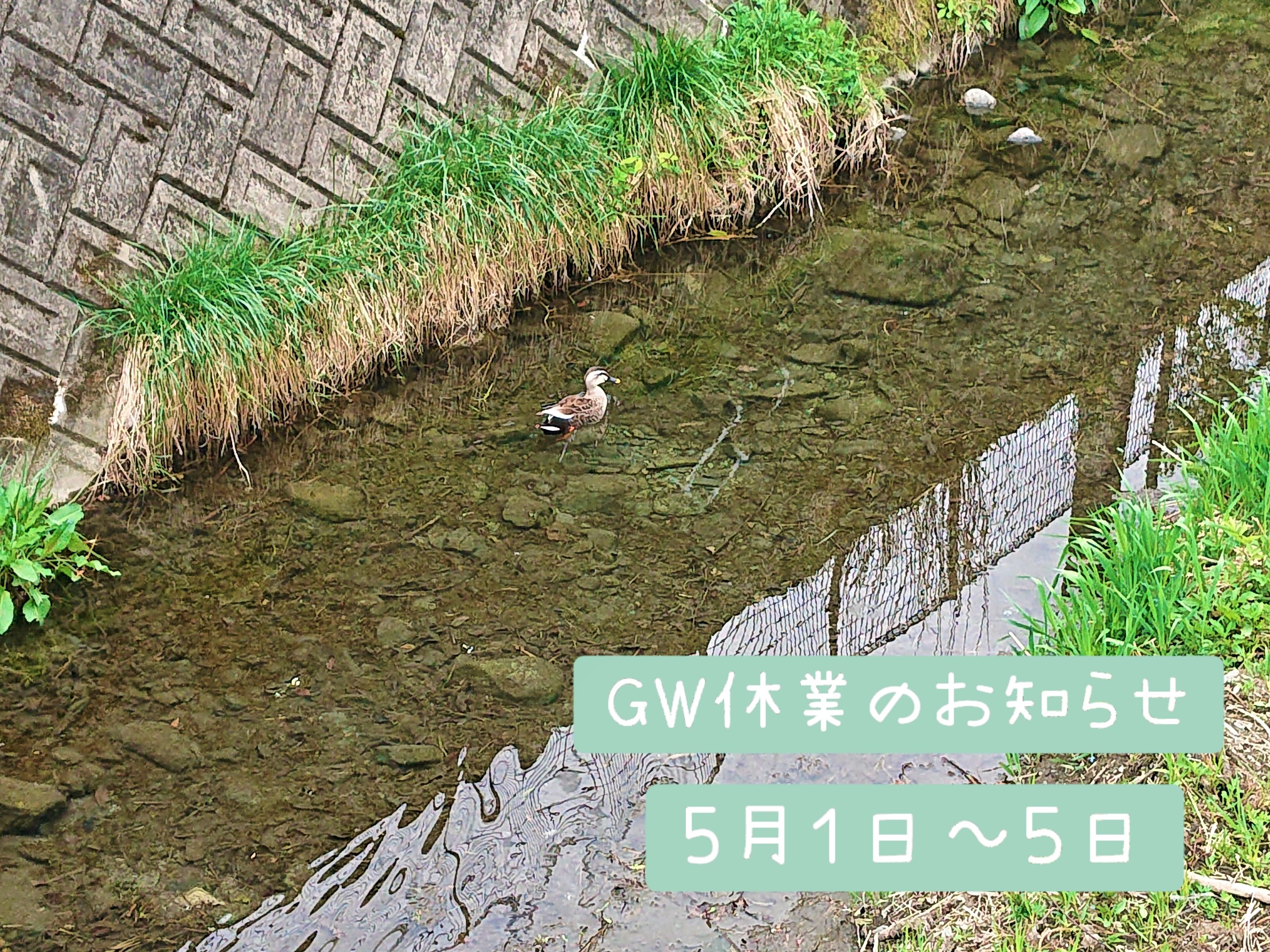 *釜石松倉店*ＧＷ休業のお知らせ
