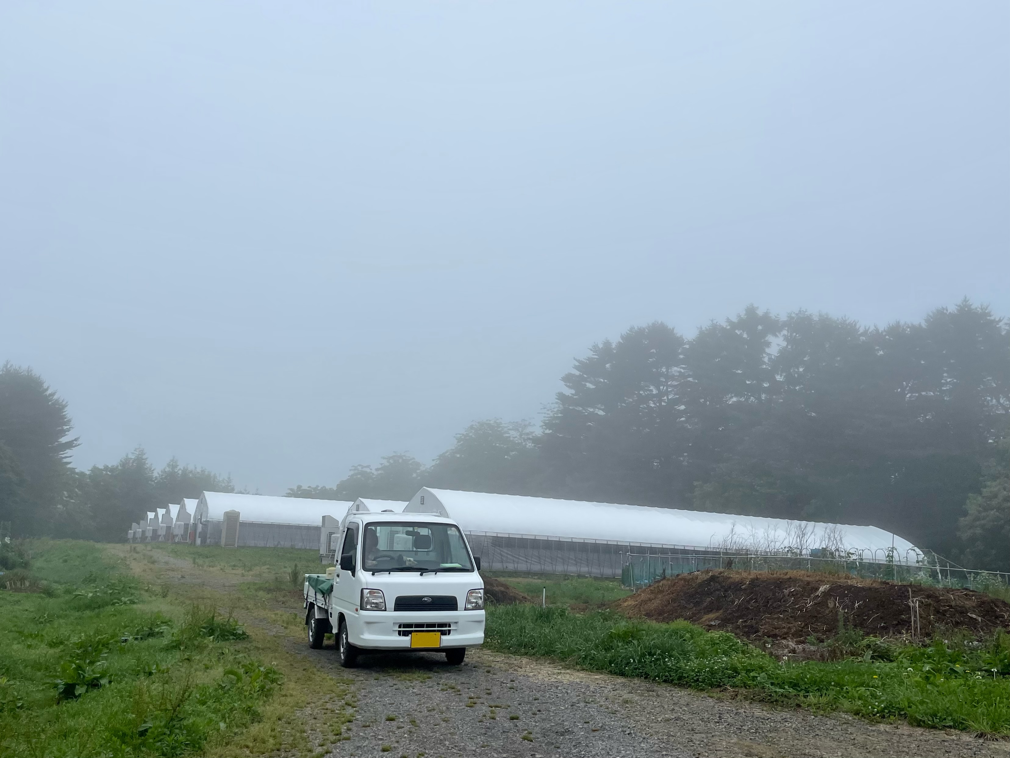 SAMBAR TRUCKと畑仕事を共に｜岩手