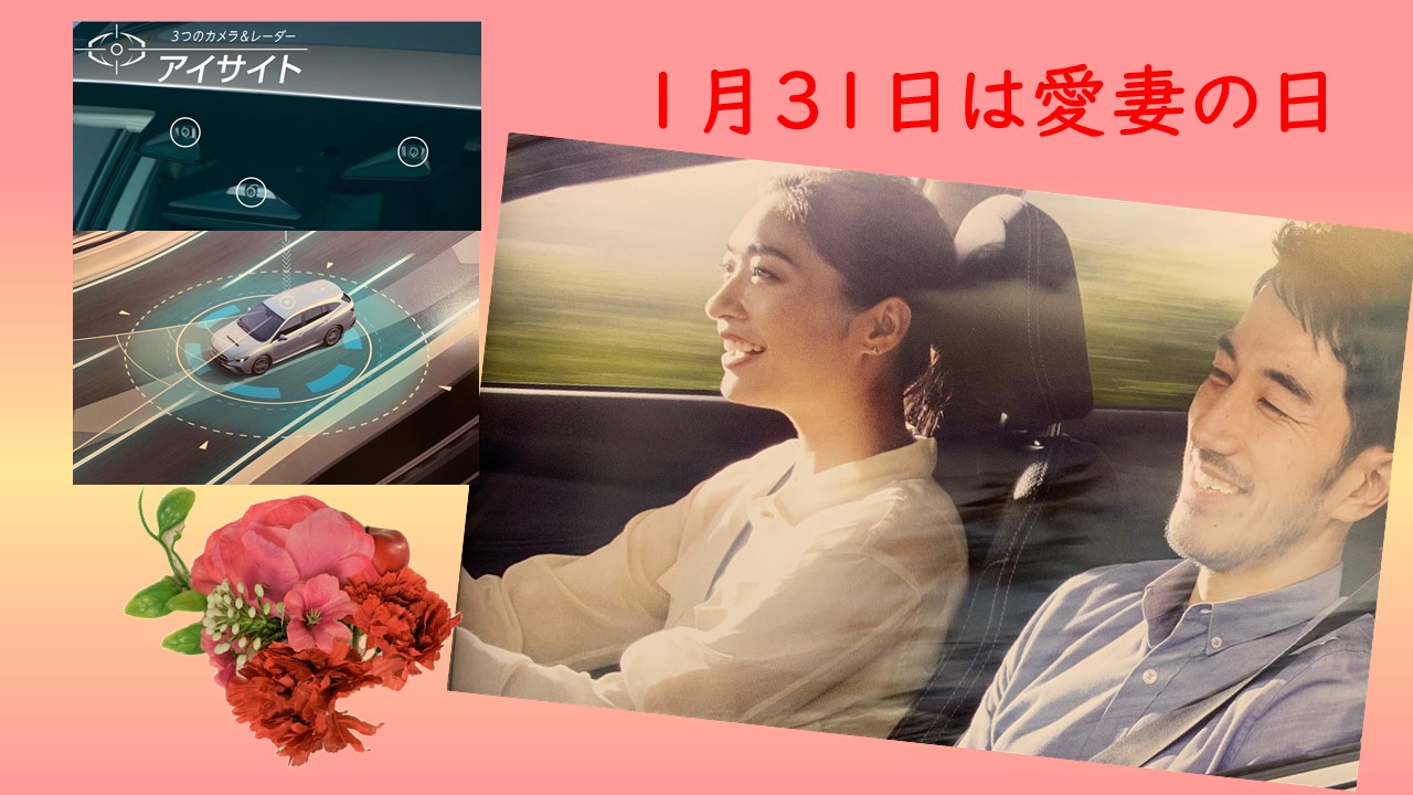 ｡.ꕤ‿‿‿‿‿‿‿‿‿‿‿‿‿‿‿‿‿‿ꕤ.｡盛岡都南店×EyeSight｡.ꕤ‿‿‿‿‿‿‿‿‿‿‿‿‿‿‿‿‿‿ꕤ.｡