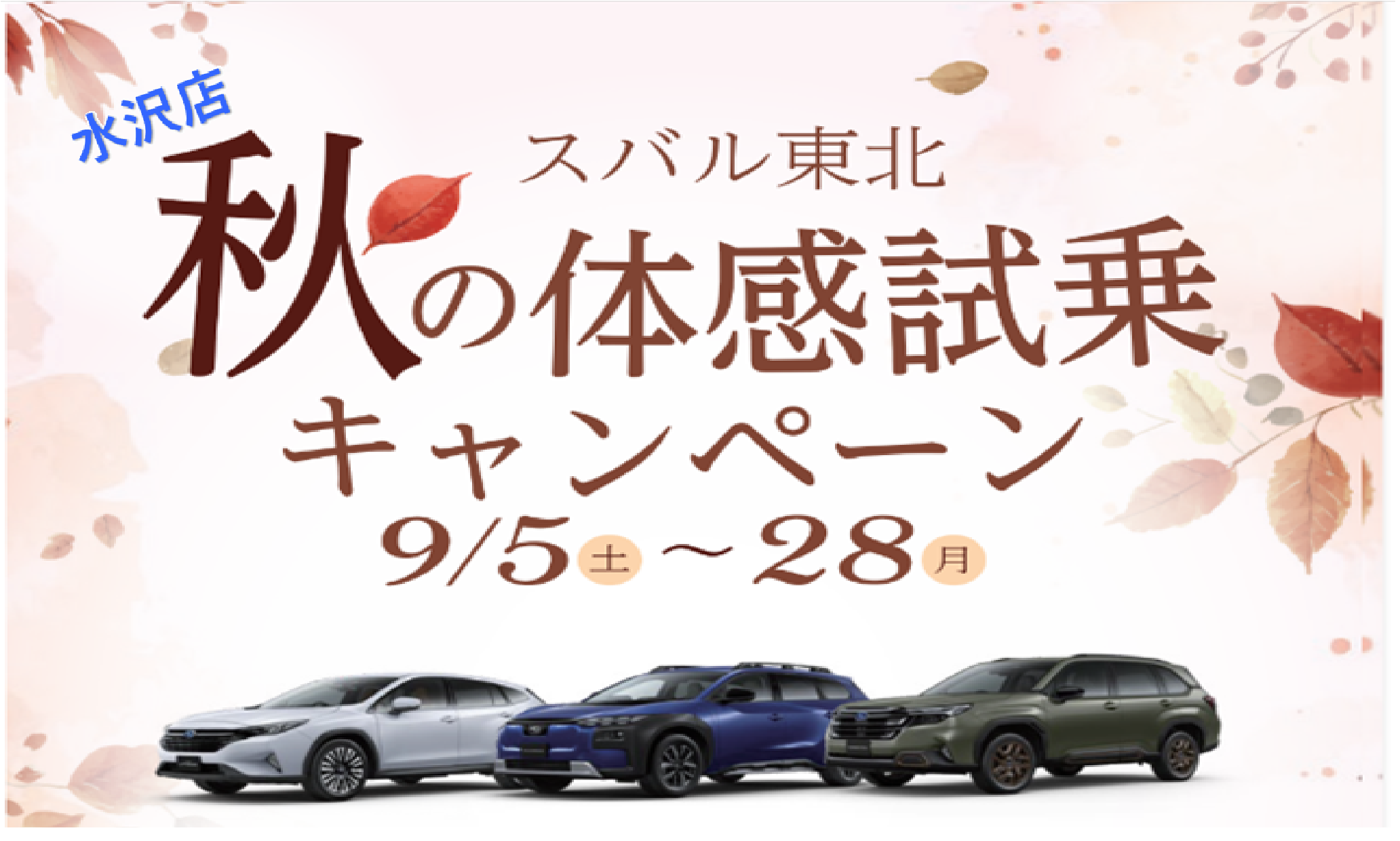 水沢店★秋の体感試乗キャンペーン★とショールーム展示車とNEW中古車のお知らせです✨