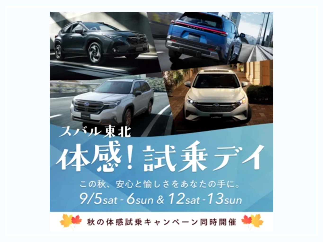 体感！試乗デイ～釜石松倉店～
