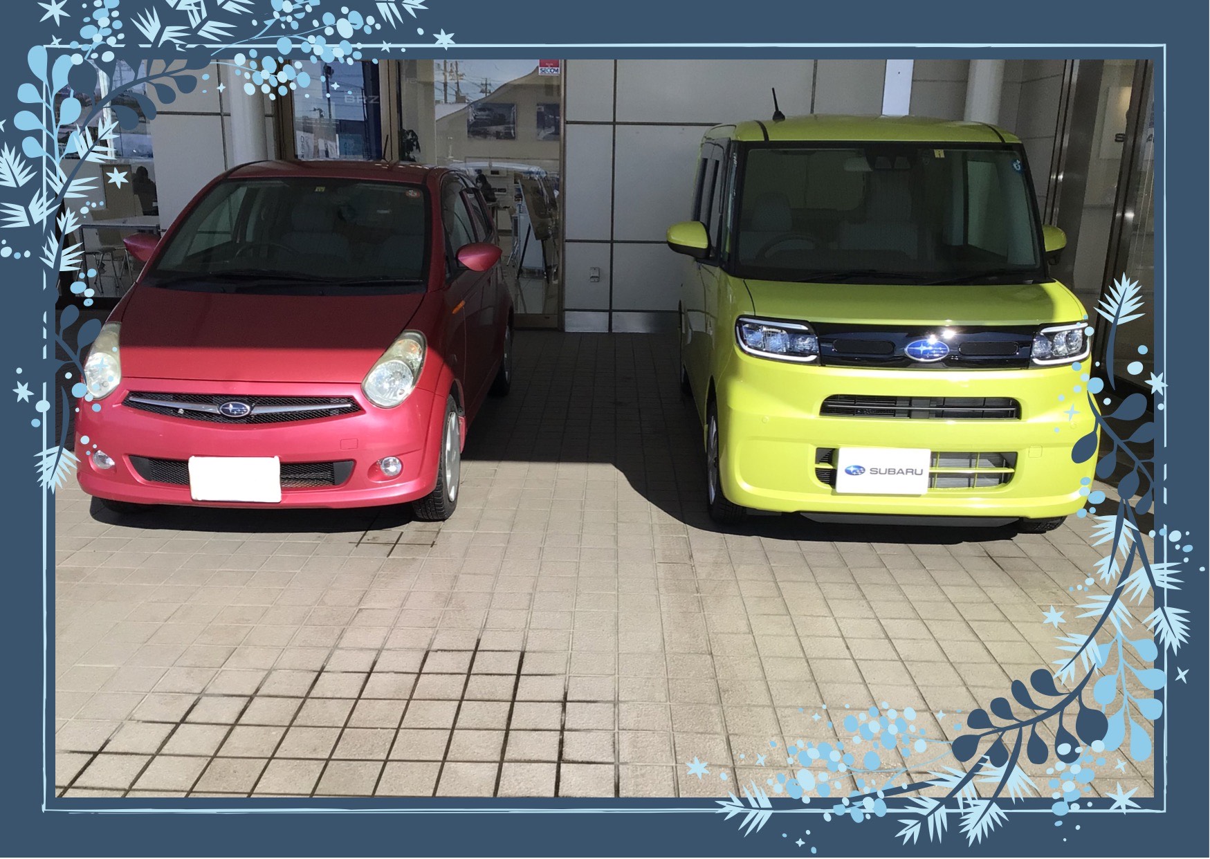 ◆福島店 シフォン◆