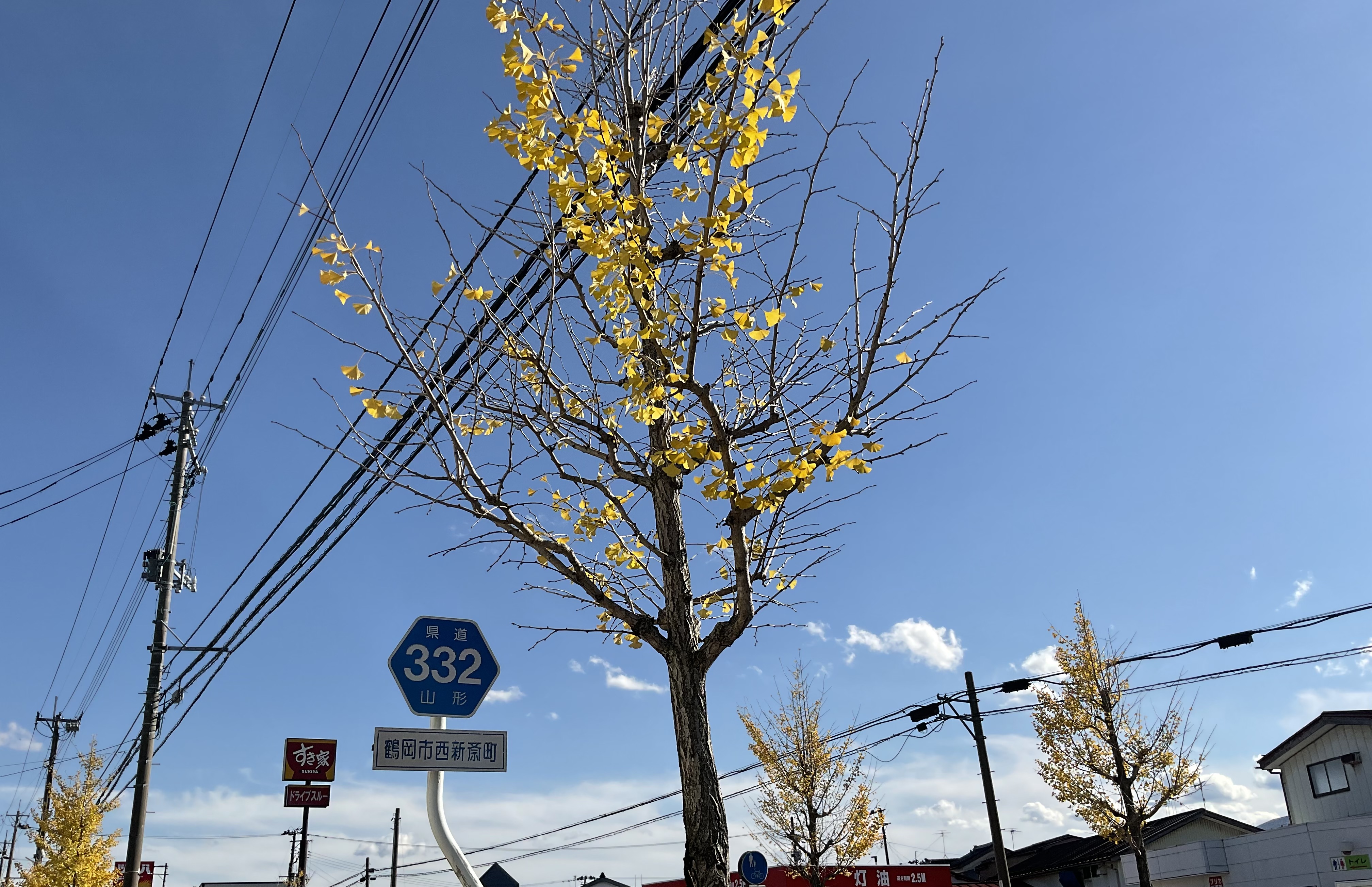 《 鶴岡店　ショールームの模様替え 》