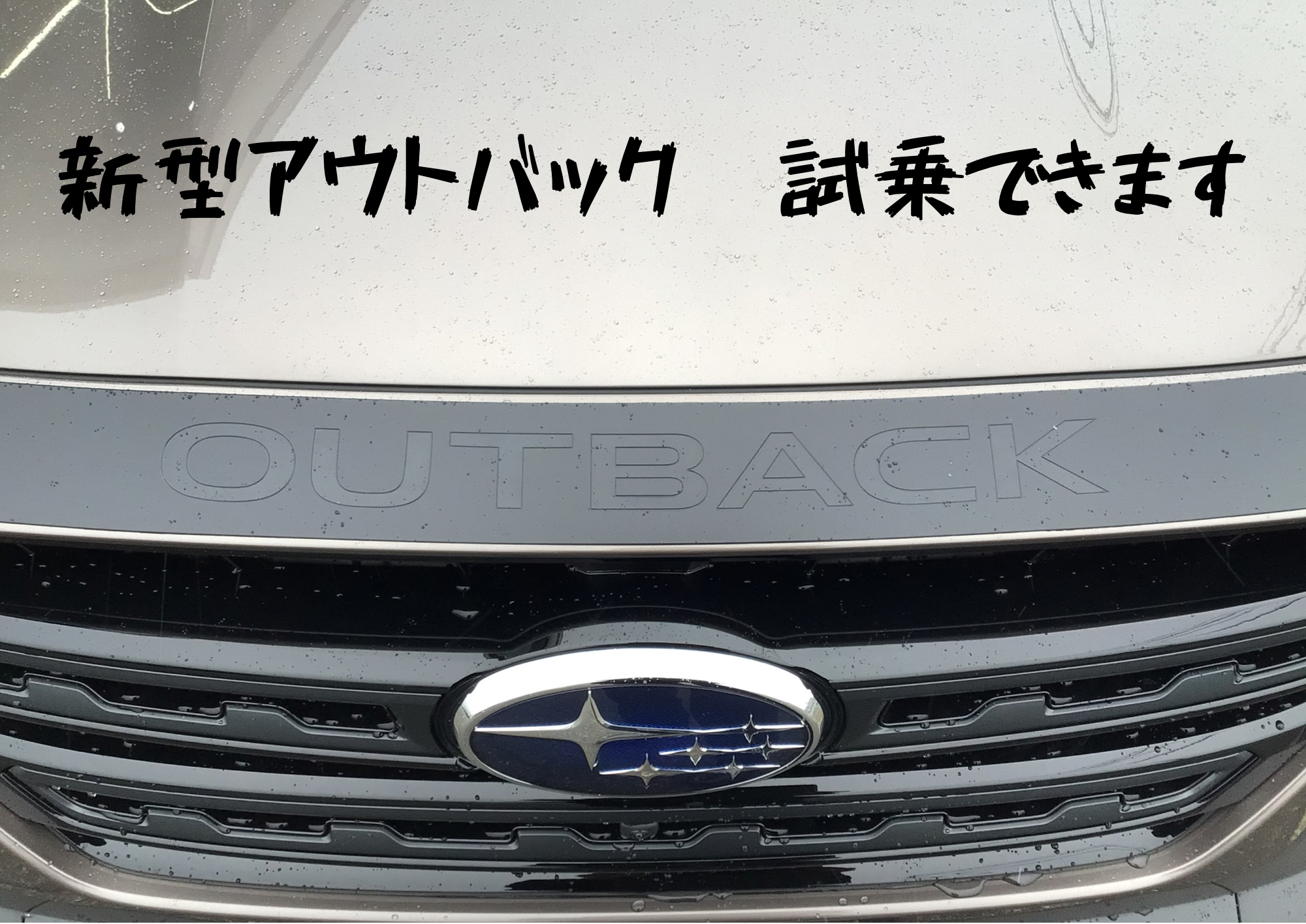 新型アウトバック試乗車が配備されました！