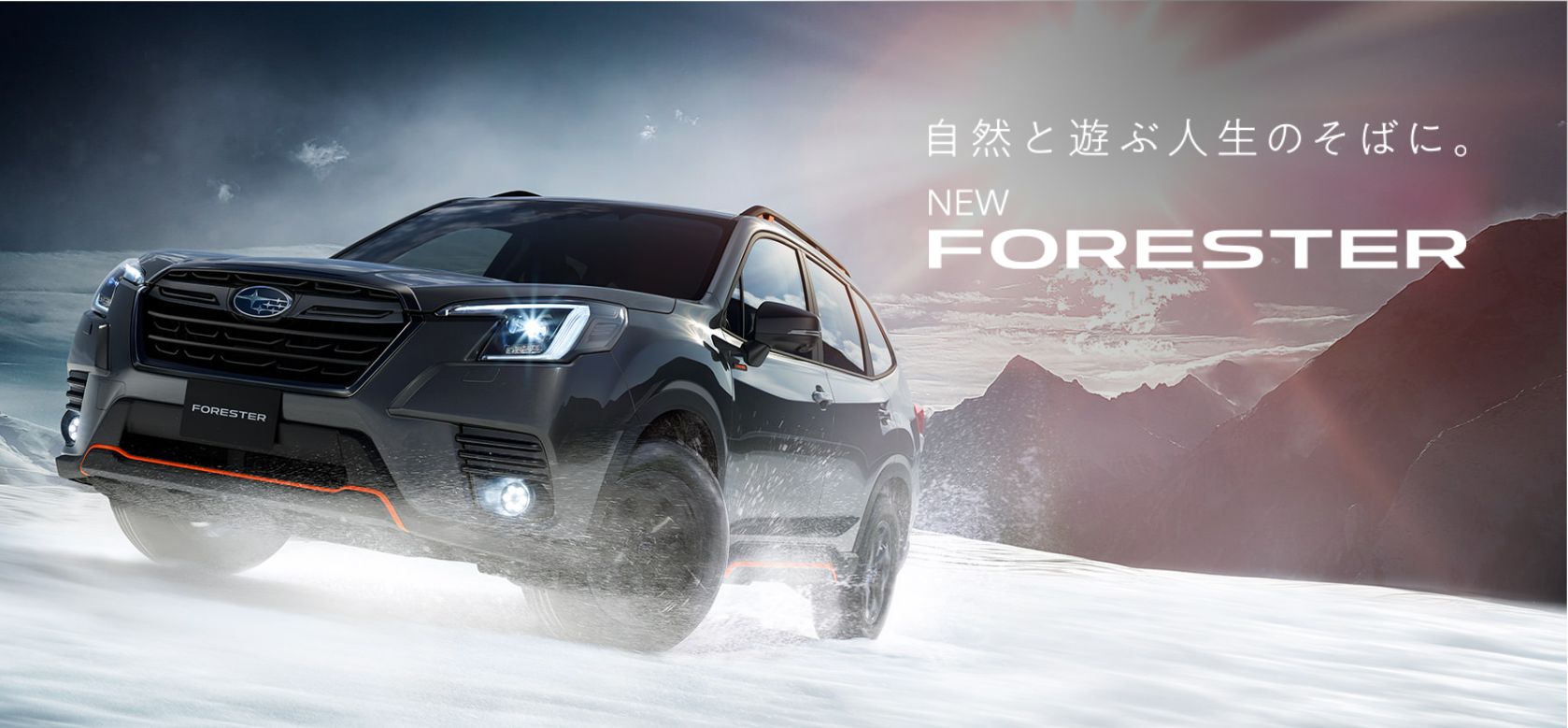 FORESTER